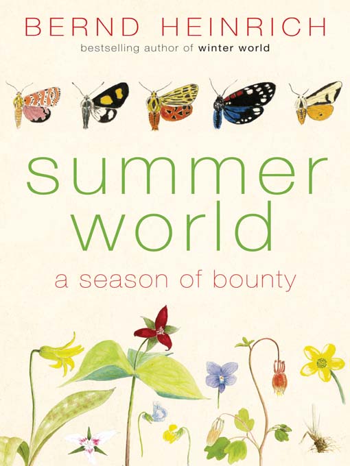 Title details for Summer World by Bernd Heinrich - Wait list
